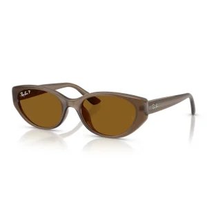 Ray-Ban RB4457D 677983 55 Güneş Gözlüğü