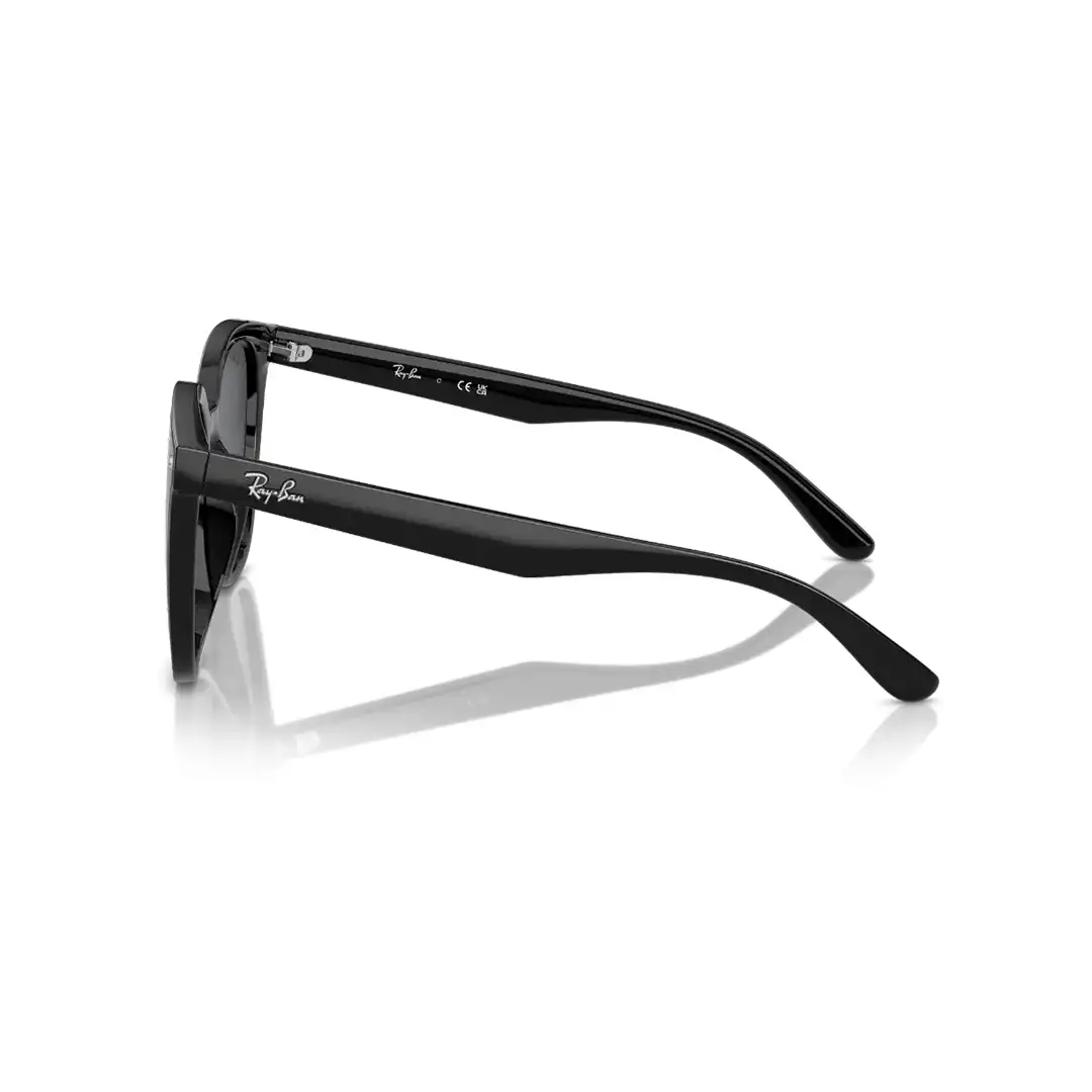 Ray-Ban RB4423D 601/87 66 Güneş Gözlüğü - Görsel 2