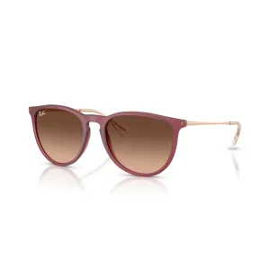 Ray-Ban RB4171 6815A5 54 Güneş Gözlüğü