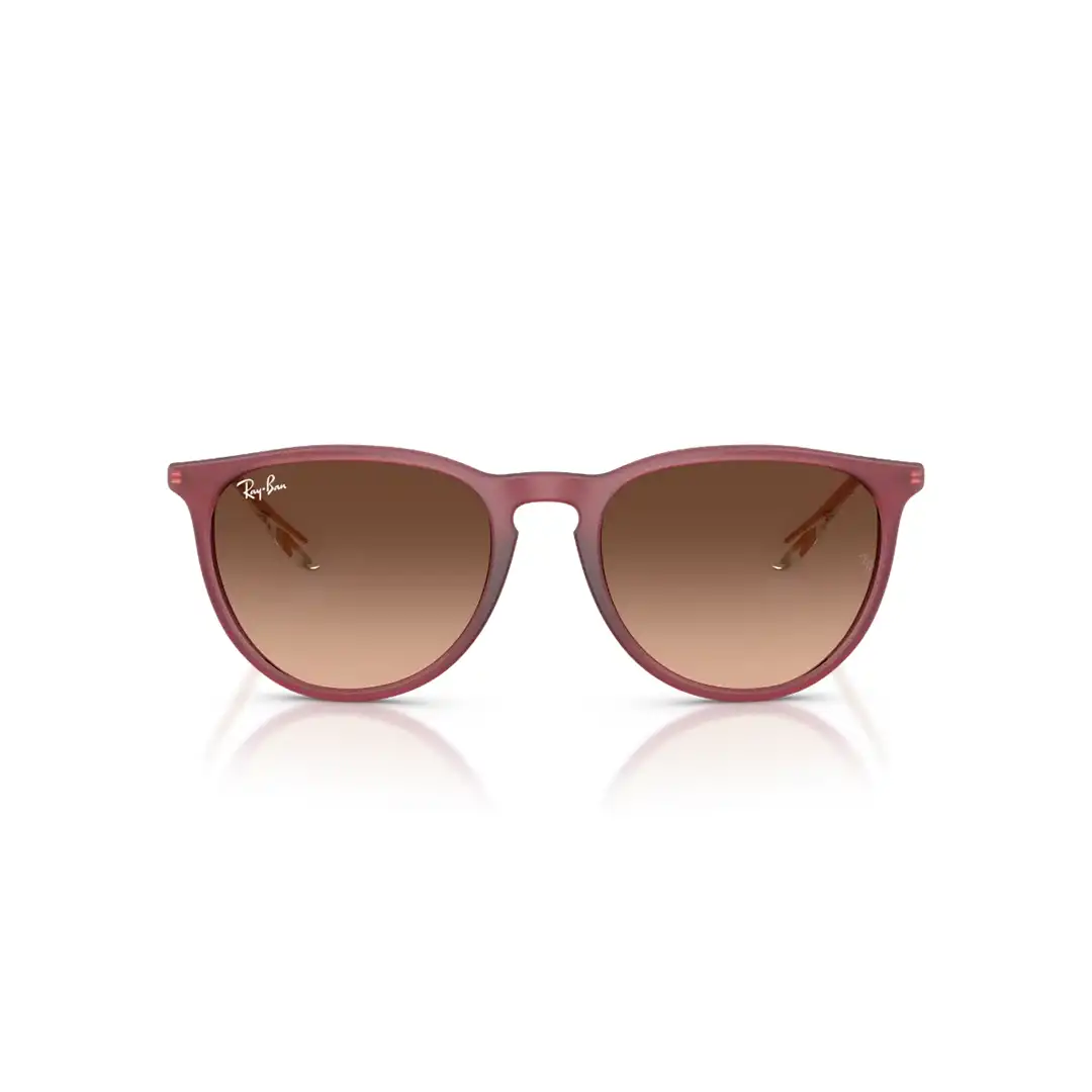 Ray-Ban RB4171 6815A5 54 Güneş Gözlüğü - Görsel 4