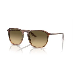 Ray-Ban RB 2203 1392/0A 52 Güneş Gözlüğü