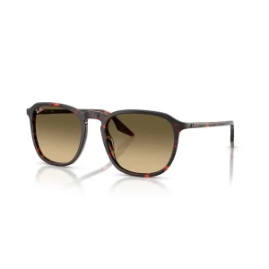 Ray-Ban RB 2203 1429/0A 52 Güneş Gözlüğü