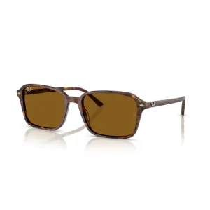 Ray-Ban RB 2231 1418/33 56