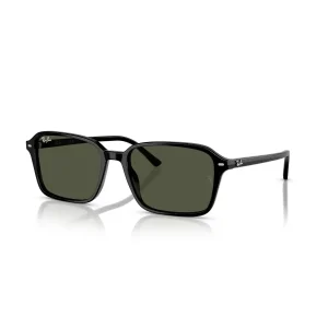 Ray-Ban RB 2231 901/31 58 Güneş Gözlüğü